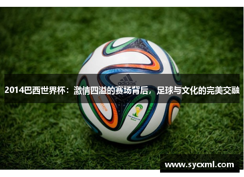 2014巴西世界杯：激情四溢的赛场背后，足球与文化的完美交融